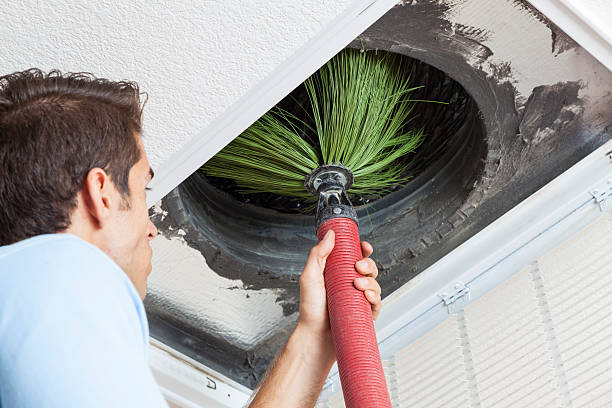 Best Dryer Vent Cleaning Services  in Mount Vernon, AL